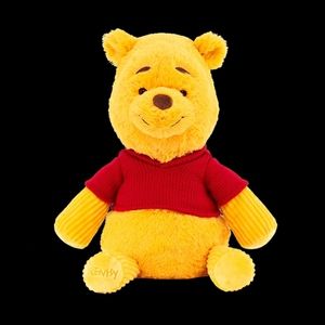 Winni the pooh teddy